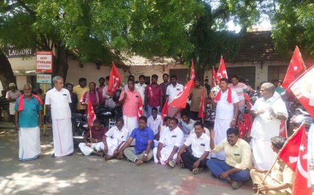 காட்டுப்பன்றி கடித்து இறந்தவருக்கு ரூபாய் 10 லட்சம்