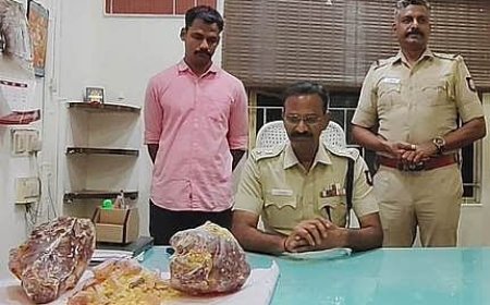 சிதம்பரத்தில் ரூ.7.5 கோடி மதிப்பிலான திமிங்கலம் எச்சம் பறிமுதல்; ஒருவர் கைது