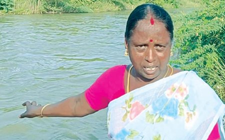 தண்ணீரில் தத்தளித்த சிறுவர்களை காப்பாற்றிய மாங்கனி; குவியும் பாராட்டுகள்