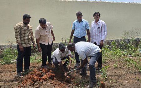 உலக ஒசோன் தினம்; தண்ணீர் அமைப்பு மற்றும் மக்கள் சக்தி இயக்கம் சார்பில் 100-க்கும் மேற்பட்ட மரக்கன்றுகள் நடவு
