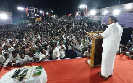 திருவாரூர் திமுக கோட்டை;திமுகவுடன் போட்டி போட உனக்கு தகுதியே இல்லை- விஜய்க்கு பதிலடி கொடுத்த கே என் நேரு