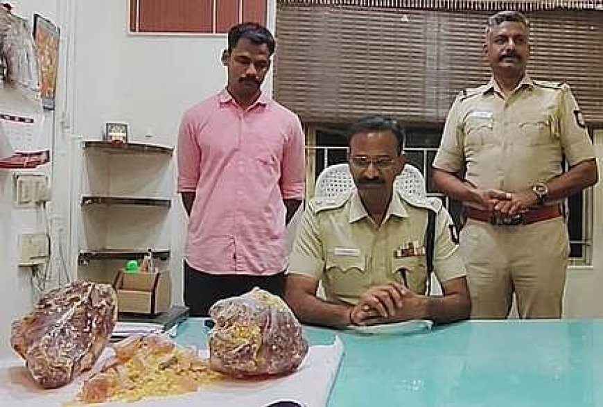 சிதம்பரத்தில் ரூ.7.5 கோடி மதிப்பிலான திமிங்கலம் எச்சம் பறிமுதல்; ஒருவர் கைது