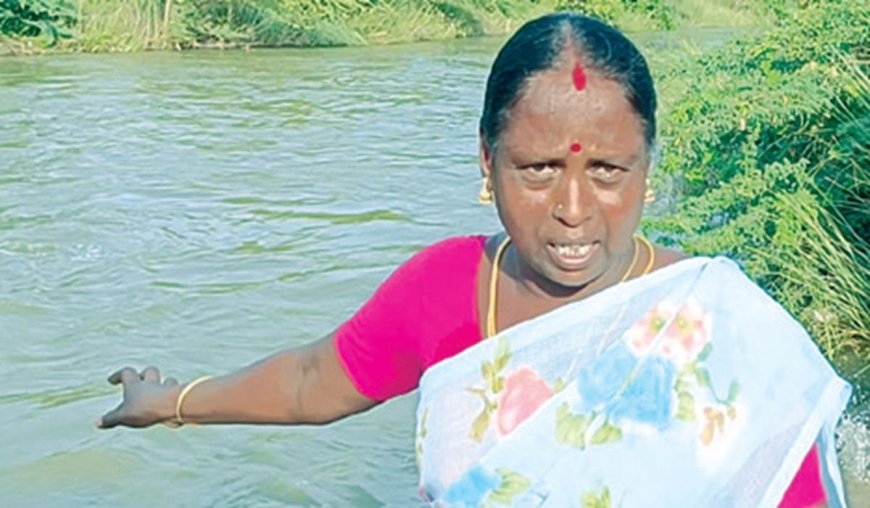 தண்ணீரில் தத்தளித்த சிறுவர்களை காப்பாற்றிய மாங்கனி; குவியும் பாராட்டுகள்