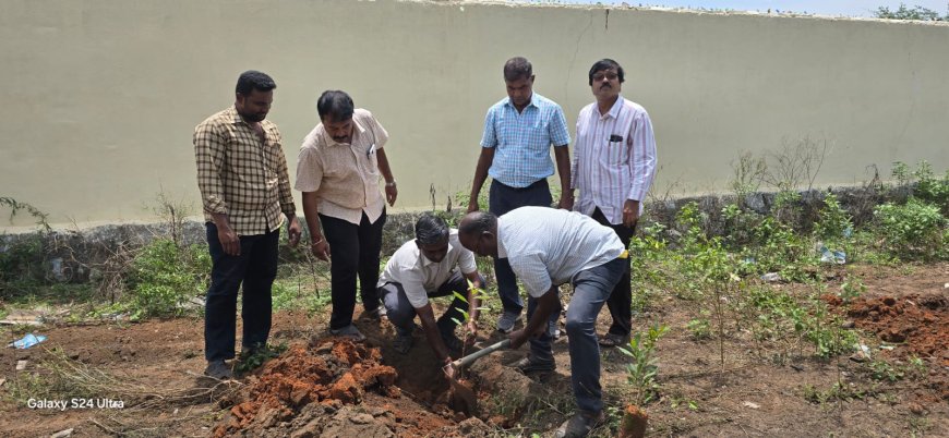உலக ஒசோன் தினம்; தண்ணீர் அமைப்பு மற்றும் மக்கள் சக்தி இயக்கம் சார்பில் 100-க்கும் மேற்பட்ட மரக்கன்றுகள் நடவு