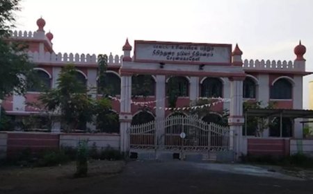 நெல்லையில் நீதிபதி மீது செருப்பு வீச்சு; வட மாநில வாலிபர் மீது வழக்கு