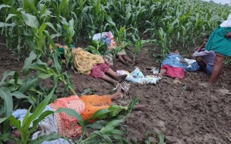கடலூர்; மின்னல் தாக்கி 5 பெண்கள் பலி
