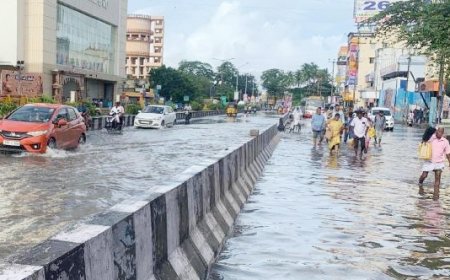 புதுச்சேரியில் மழை விட்டும் வடியாத தண்ணீரால் பொதுமக்கள் அவதி