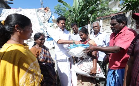 தொடர் மழையால் வீடு சேதம்; நிவாரணம் வழங்கிய அமைச்சர் அன்பில் மகேஷ்
