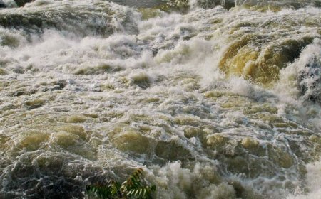 காவிரியில் நீர் திறப்பு 60,000 கன அடியாக அதிகரிக்க வாய்ப்பு: 11 மாவட்டங்களுக்கு வெள்ள அபாய எச்சரிக்கை