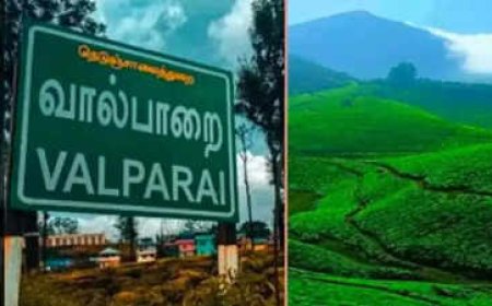 வால்பாறைக்கு செல்கிறீர்களா? நவம்பர் 1 முதல் கட்டாயம் கடைபிடிக்க வேண்டும்.....,