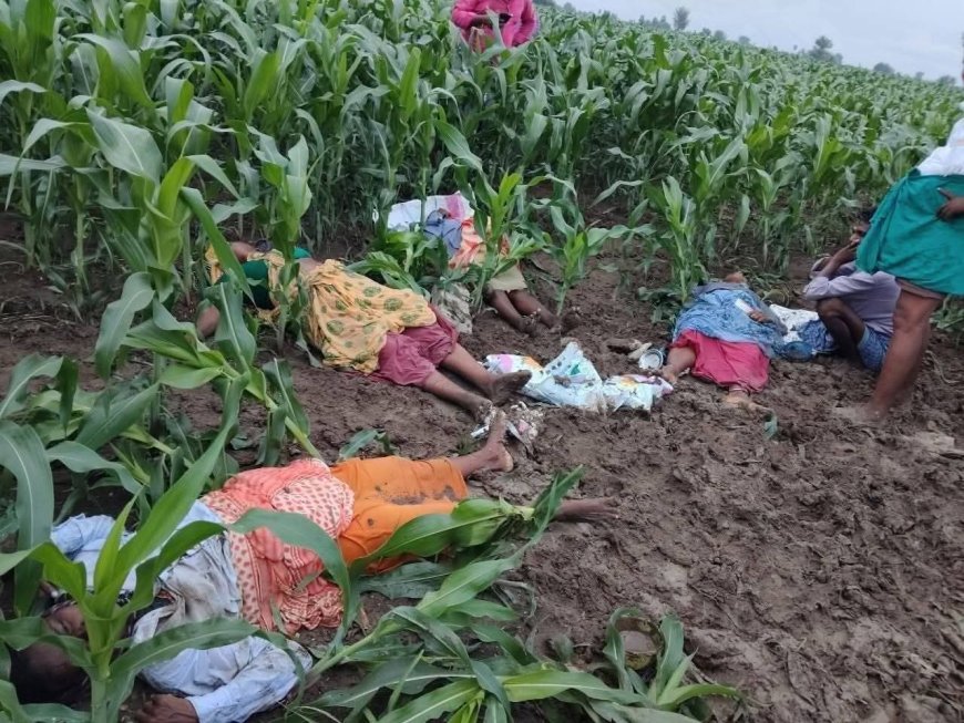 கடலூர்; மின்னல் தாக்கி 5 பெண்கள் பலி