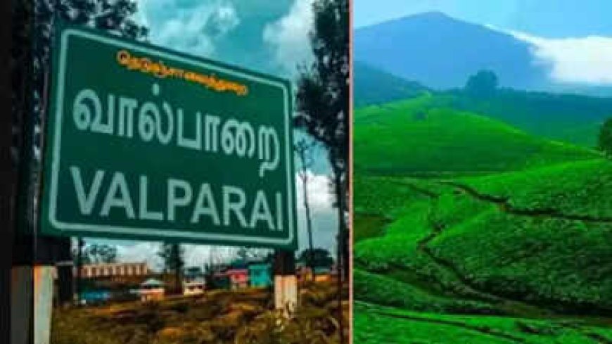 வால்பாறைக்கு செல்கிறீர்களா? நவம்பர் 1 முதல் கட்டாயம் கடைபிடிக்க வேண்டும்.....,