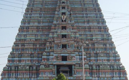 திருச்சி வரும் தமிழக முதல்வர் ஸ்ரீரங்கம் அடிமனை பிரச்சனைகளுக்கு தீர்வு ஏற்படுத்தி தரவேண்டும்- மக்கள் நீதி மய்யம் கோரிக்கை