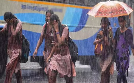 கனமழை; திருச்சி உள்பட 10 மாவட்ட பள்ளிகளுக்கு இன்று விடுமுறை