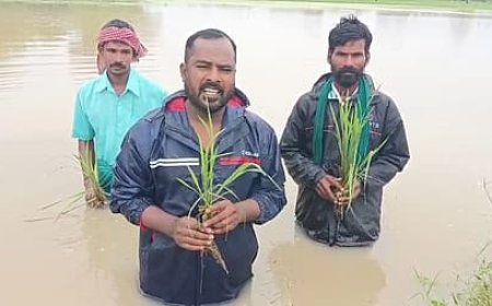 டெல்டாவில் கனமழை; பல்லாயிரக்கணக்கான ஏக்கர் விளை நிலங்கள் நீரில் தத்தளிப்பு - நிவாரணம் எதிர்பார்க்கும் விவசாயிகள்