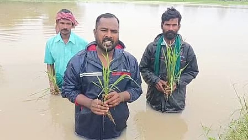 டெல்டாவில் கனமழை; பல்லாயிரக்கணக்கான ஏக்கர் விளை நிலங்கள் நீரில் தத்தளிப்பு - நிவாரணம் எதிர்பார்க்கும் விவசாயிகள்