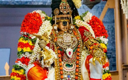 ஸ்ரீரங்கம் அரங்கநாதர் கோயிலில் நம்பெருமாள்  மோகினி அலங்காரத்தில் எழுந்தருளி சேவை