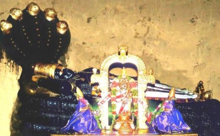 ஸ்ரீரங்கத்தில் மூலவர் பெரிய பெருமாள் திருவடியை தரிசிக்க முடியாமல் பக்தர்கள் ஏமாற்றம் : போலீசாரின் கெடுபிடிகளால் பாமர மக்கள்  தவிப்பு