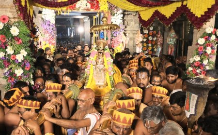 ஸ்ரீரங்கத்தில் சொர்க்கவாசல் திறப்பு கோலாகலம்; ரங்கா ரங்கா கோஷம் விண்ணதிர்ந்தன