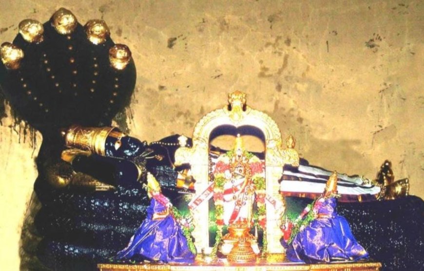 ஸ்ரீரங்கத்தில் மூலவர் பெரிய பெருமாள் திருவடியை தரிசிக்க முடியாமல் பக்தர்கள் ஏமாற்றம் : போலீசாரின் கெடுபிடிகளால் பாமர மக்கள்  தவிப்பு