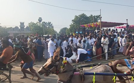 திருவெறும்பூரில் குதிரைப்போட்டி : அமைச்சர் கலந்து கொண்ட நிகழ்வில் விபத்து