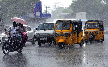 டெல்டா மாவட்டங்களில் நாளை மழைக்கு வாய்ப்பு- வானிலை மையம்