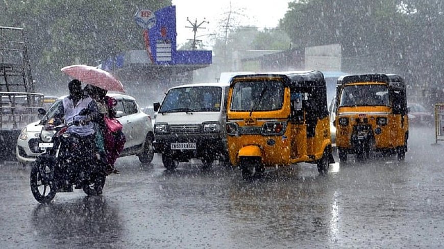 டெல்டா மாவட்டங்களில் நாளை மழைக்கு வாய்ப்பு- வானிலை மையம்