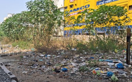 குடியிருப்புவாசிகளை தொந்தரவு செய்யும் விஷ ஜந்துகள்; பாதுகாப்பு கோரி ரயில்வே நிர்வாகத்திடம் பொதுமக்கள் புகார்