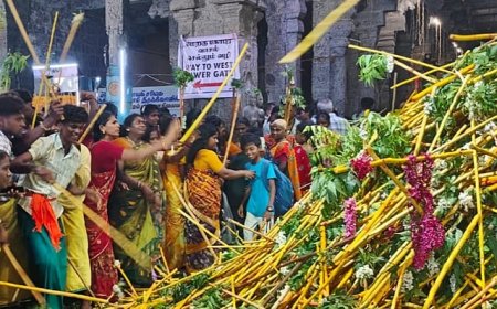 வைத்தீஸ்வரன்கோயிலில் நகரத்தார் வழிபாடு; லட்சக்கணக்கானோர் மாட்டு வண்டியுடன் வந்து  நேர்த்திக் கடன்  