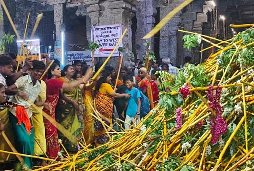 வைத்தீஸ்வரன்கோயிலில் நகரத்தார் வழிபாடு; லட்சக்கணக்கானோர் மாட்டு வண்டியுடன் வந்து  நேர்த்திக் கடன்  