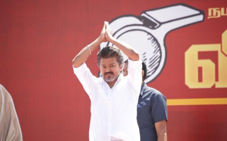 தவெக எம்எல்ஏக்கள் கூண்டோடு ராஜிநாமா? மீண்டும் தேர்தலை சந்திக்கிறதா தமிழகம்