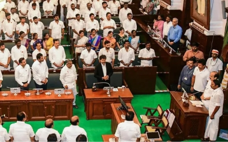 நம்பிக்கை வாக்கெடுப்பதில் த.வெ.க அரசு வெற்றி - சபாநாயகர் அறிவிப்பு