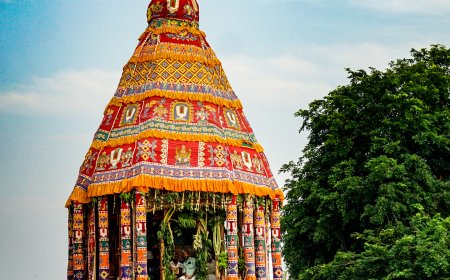 ஸ்ரீரங்கம் ரெங்கநாத சுவாமி திருக்கோயிலில் "ரங்கா ரங்கா" கோஷம் விண்ணதிர விருப்பன் தேரோட்டம் கோலாகலம்