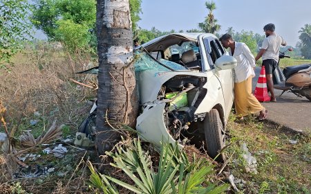 தஞ்சாவூர்; கார் பனைமரத்தில் மோதி ரவுடி உள்பட இருவர் உயிரிழப்பு: 4 பேர் படுகாயம்