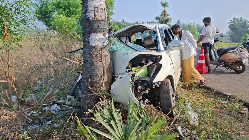 தஞ்சாவூர்; கார் பனைமரத்தில் மோதி ரவுடி உள்பட இருவர் உயிரிழப்பு: 4 பேர் படுகாயம்