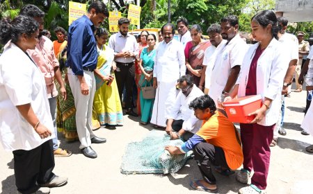 திருச்சி மாநகராட்சியில் 10,000 தெரு நாய்களுக்கு ரேபீஸ் தடுப்பூசி - மேயர் 