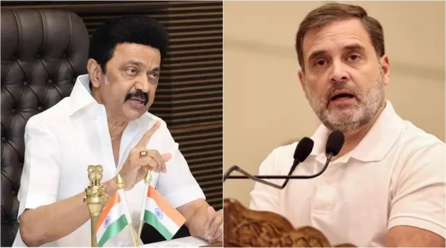 விஜய்யை பார்க்க வேண்டாம்; ஸ்டாலினை கைவிட்டு இருக்க கூடாது: ராகுலிடம் சீறிய ப்ரியங்கா காந்தி