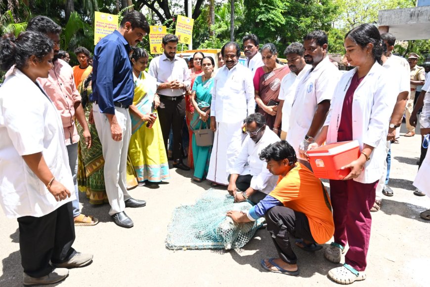 திருச்சி மாநகராட்சியில் 10,000 தெரு நாய்களுக்கு ரேபீஸ் தடுப்பூசி - மேயர் 