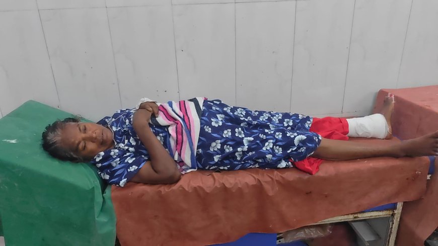 அரசு மருத்துவமனையில் மூதாட்டிக்கு நேர்ந்த கொடுமை; கால் விரல்களை கடித்துக் குதறிய எலிகள்; மருத்துவமனை நிர்வாகம் அலட்சியம் காரணமா