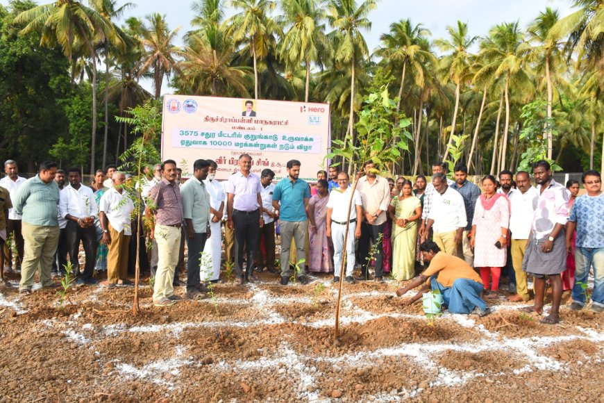 திருச்சியில் குறுங்காடு திட்டத்தில் 10 ஆயிரம் மரக்கன்றுகள் நடவு; நகர்ப்புற வெப்பத்தை குறைக்க மாநகராட்சி ஏற்பாடு  