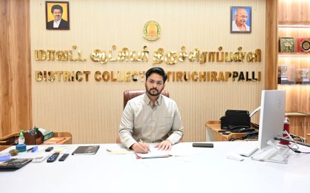 விநாயகர் சிலை ஊர்வலம்:16, 17-ந் தேதிகளில் திருச்சி மாநகரில் போக்குவரத்து மாற்றம்; ஃட்ரோன்கள் பறக்க தடை- ஆட்சியர்