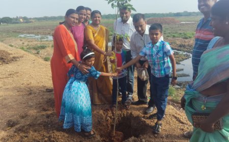 சாத்தனூர் பெரியகுளம், மாவடிக்குளம் கரையில் மரக்கன்றுகள் நடும் விழா; ஆர்வமுடன் பங்கேற்ற தன்னார்வலர்கள் 